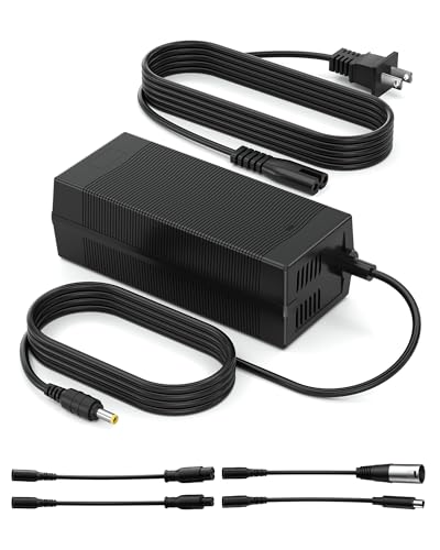 VHBW 54.6V 2A Charger Compatible with Ridstar E-Bikes, 5 Tips
