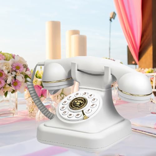 Registra messaggi audio personalizzati per occasioni speciali, collegabile al telefono