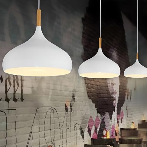 Image of twixle Aluminium Ceiling Light, Circular Shape Hanging Light for Dining Table, Living Room, Bedroom, Restaurant, Office, Cafe, White Pendant Lamp (White Pendant) (Pack of 1) (Without Bulb)