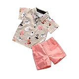 Toddler Baby Boy Cute Animal Cow Pig Horse Print Turn Down Collar Button Shirts Casual Solid Shorts Summer Outfit (Pink,3-4T)