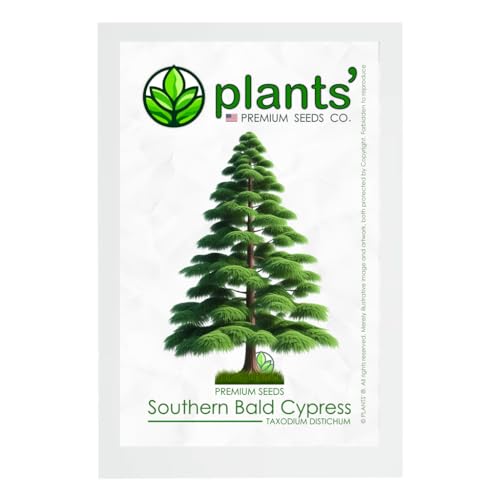 Southern Bald Cypress Tree | Premium Seeds | Taxodium distichum 'Summer' | Plants'&reg; (Premium Seeds...