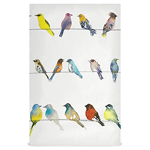 Naanle Watercolor Bird Kitchen Towels 4 Pack Dish Cloths Reusable Cleaning Cloths Absorbent Hand Towels Tea Towels Bar Towels For Home Kitchen Fast Drying 28 X 18 In #TOP25