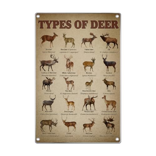 GOLEEX - Types Of Deer Chart Illustration Metal Sign Educational Wall Art Vintage Tin Poster For Nature Decor Study Room Classroom Hunting Cabin Home Man Cave 8 x 12 Inch