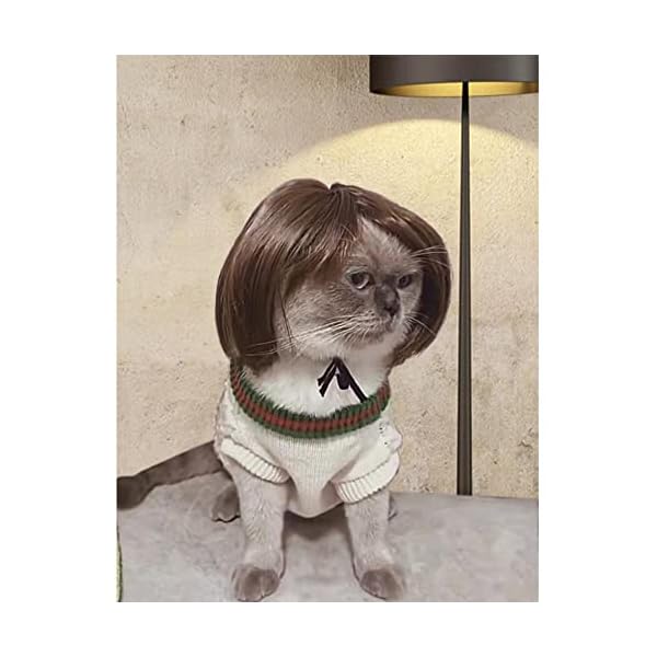 Funny dog cat cosplay wig, pet wigs, for halloween, christmas, parties, festivals, dog wigs for small medium and large dogs - image 8