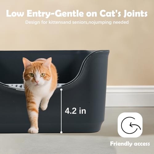 LoopTime Large Cat Litter Box with High Sides,Cat Boxes for Indoor Cats,Cat Litter Pan for Kitty,Litter Box with Low Entry,Easy to Clean,Anti-Splashing (Dark Grey)