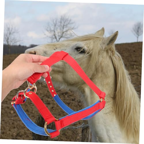Cabestro ajustable de caballo Anneome contra rozaduras y tirones 5