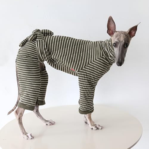 [GIIPET]���� �H �~ �g���� �C�^���A���O���[�n�E���h�p�W���} �����p�[�X �~�j�s�� �I�[���C������ �{�[�_�[ ��� ���킢�� ������� ���� ���[���E�F�A �����іh�~ �����ё΍� �h�b�O�E�F�A ������ ���� �y�b�g�� �Ȃ� �C�^�O��