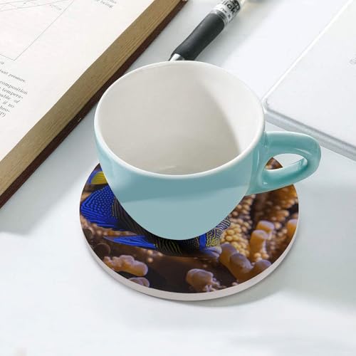 Dessous de verre en céramique lot de 6 protège table anti rayure - 6