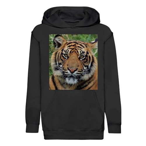Sweat à capuche enfant tigre asiatique, le cadeau d'anniversaire idéal