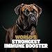 Bully Max 11-in-1 Muscle Gain Power Chews - High Protein Dog Supplement with Amino Acids - Healthy Treats for Puppy & Adult Dogs - Premium Muscle Builder for All Breeds - 75 Tasty Soft Dog Chews