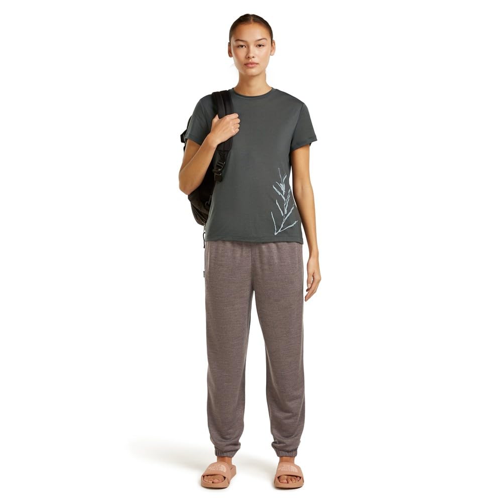 ICEBREAKER Merino Core Panax Short Sleeve T-Shirt M