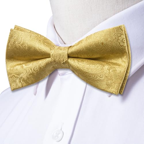 Image of Dubulle Mens Paisley Striped Bowtie Set Pre-tied Bowtie for Men and Pocket Square Set Wedding Business