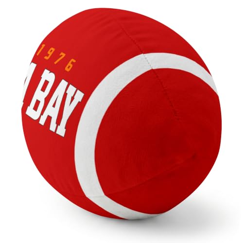 Image of ANTKING Tampa Throw Pillow 2 Packs Custom Name Number Gifts | Personalized Gift for Youth for Birthday Christmas