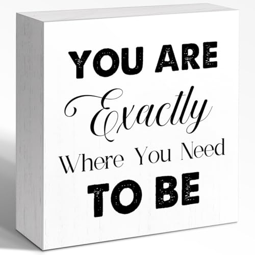 WUZYOU Mindfulness Quote Wooden Box Sign You Are Exactly Where