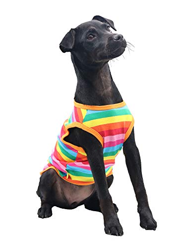 DroolingDog Small Dog Clothes Puppy Shirts Rainbow Striped Tshirt Boy Dogs Clothes for Small Dogs, Small
