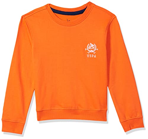 Image of U.S. Polo ASSN. Boys Sweatshirt