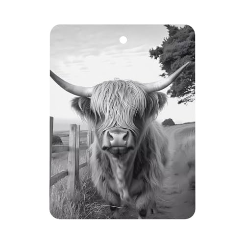 Highland Cow Black And White Car Air Freshener Hanging Aromatherapy Tablets for Car Accessories Square