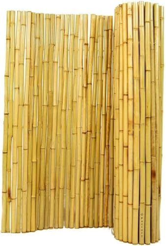 Egardenkart Natural Rolled Bamboo Fence Thick Natural Privacy Fence (300 100)