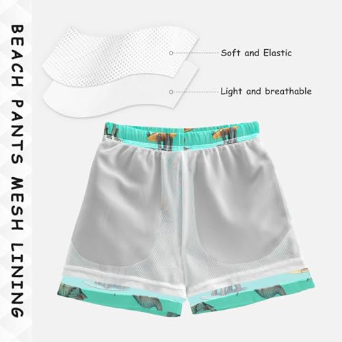 Boys' Swim Shorts & Trunks, Baby Swim Shorts 2t, Cool Dinosaurs Teal4