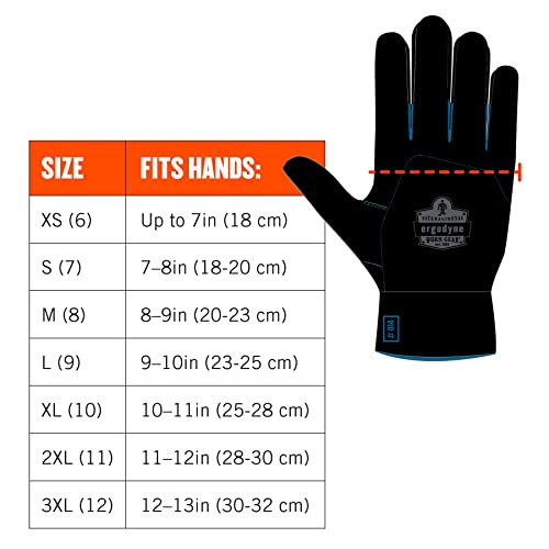 Ergodyne Proflex 817Wp Waterproof Work Gloves, Thermal Insulated, Touchscreen, Reinforced Palms Black, Medium #TOP7
