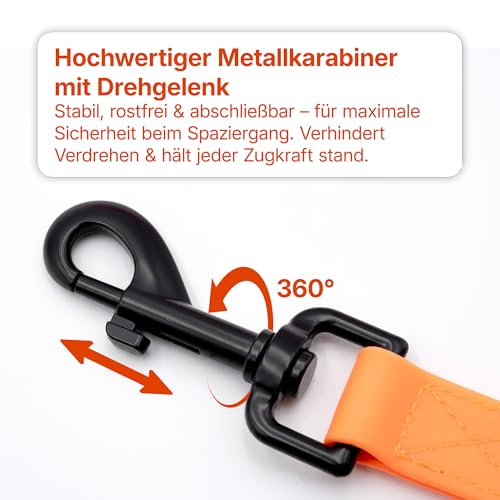 Miauff Schleppleine für Hunde, Gummiert & Wasserdicht, Robuste Trainingsleine mit Handschlaufe & Karabiner für Große bis Kleine Hunde (schwarz, 3m)