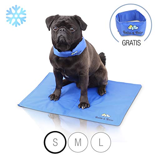 Bella & Balu Kühlmatte für Hund & Katze inkl. Kühlhalsband  Die selbstaktivierende Kühldecke schützt Ihr Tier vor Überhitzung an heißen Tagen  drinnen, draußen oder im Auto (S |40 x 50 cm)