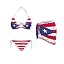 Puerto Rican Flag