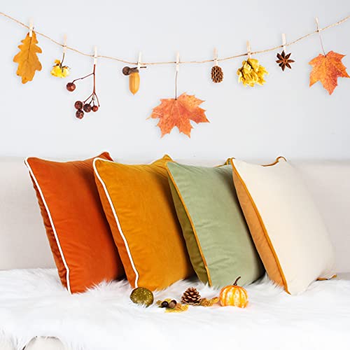 COFEDE Velvet Cushion Covers 16x16 inches Set of 4,Decorative Square mixed color Cushion Cases for Sofa Bed Bench Couch 40x40 cm Yellow - Image 2