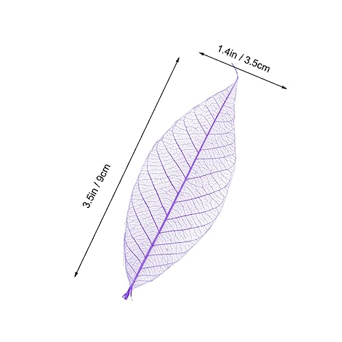 HOOTNEE 50 Peças Folhas De Esqueleto Enfeite De Folha De Esqueleto Flores Secas DIY Marcador Folhas