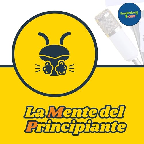 La mente del principiante: valorizza l&rsquo;inesperienza copertina