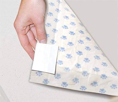 ASSORBIPIU' Record Tappetini Cane 60 x 90 con