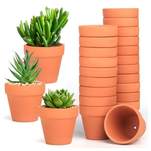 Baxrou Terra Cotta Pots, 24 Pack 3.15 Inch Mini Clay Pot with Drainage Holes,Cactus Flower Nursery Terracotta Pots for Indoor/Outdoor Succulent Plants, Crafts, Wedding Favor