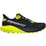 DYNAFIT