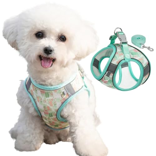 DICOCO  n[lX [h Zbg Ȃ t  ȒPE  y U o h~  xXg Lpn[lX   ^ q L \tgn[lX(O[CXXS)