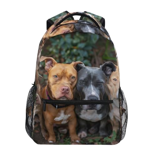 ALAZA A Groupt Of Pitbulls Kid's Shool Backpack for Girls Boys,Laptop Travel Backpack for Elementary Middle School Bag Teenagers Bookbag with Comfy Shoulder Starp,16.9