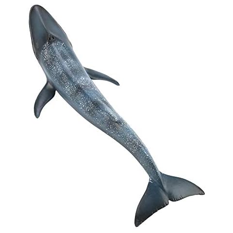 Educational Blue Whale Figurine for Kids Cover