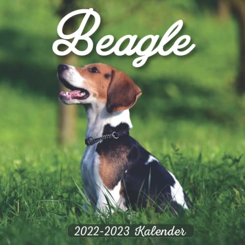 Beagle Kalender 2022-2023: 24-Monats-Kalender von Januar 2022 bis Dezember 2023. Platz für Notizen. Es ist ein perfektes Geschenk für einen geliebten Menschen