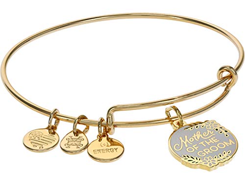 Alex and Ani Mother of the Groom Bangle