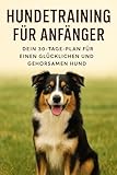 Hundetraining für Anfänger: Dein 30-Tage-Plan für einen glücklichen, gehorsamen Hund