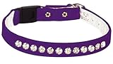 Pet Supply Imports Velveteen Jeweled Break Away Cat Collar, Purple, 10-Inch