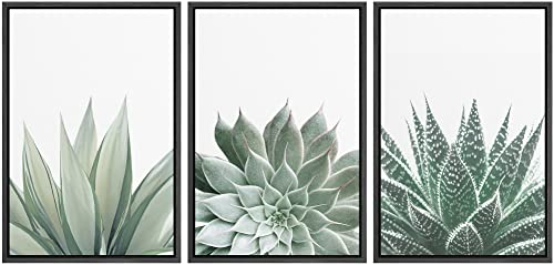 Ashbrook Framed Canvas Print Wall Art Set Green Desert Cactus Succulent Variety Nature Wilderness Photography Modern Art Minimal Chic Colorful for Living Room, Bedroom, Office - 24"x36"x3 Black