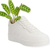 Sneakers Shoes Low Planter Pot 3D Printed- Pen Holder & Pencil Holders- Plant Pot for Indoor Plants - Unique Planter for Indoor with Drainage Hole - Made in USA