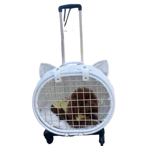 ِybgL[ bN ybgL[ LX^[t L Lp L[ J[g  ^ ybgL[P[X ܂ O\Ȏԗ hCu s ʉ@ h p L[ (Color : A) (zCg)