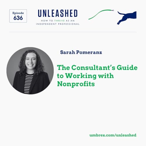636. Sarah Pomeranz, The Consultant's Guide to Working with Nonprofits