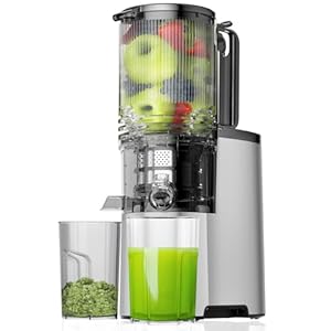 Cold Press Juicer, 5.4″ Wide Feed Chute Juice Extractor Machine with 400W, High Juice Yield, Slow Masticating Juicer for Whole Vegetables & Fruits, Light Gray