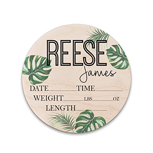 Birth Stat Sign Personalized for Newborn Baby, Tropical Leaves Design, Crib & Nursery Decor, Photography Prop, Baby Shower Gifts, Gender Reveal, Pregnancy Announcement, Hickory Hollow Designs