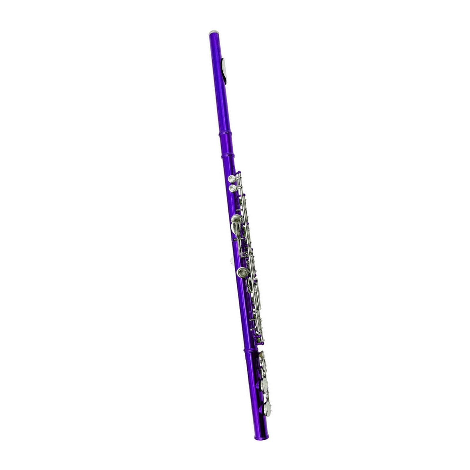 Flauta Travesera De Orificio Cerrado De 16C Mi Color Azul Morado Y Cian Para Principiantes Instrumento De Práctica Flautas Para Principiantes