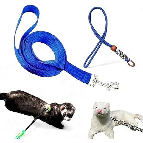 Adjustable Leash and Harness Set for Ferrets Cover