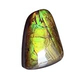 ammolit schmuck Länge in mm: 16 x Breite in mm: 11