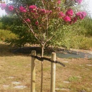 BricoLoco.com Brida entutorar árboles. Pack 10 uds. Correa Ajustable para Sujetar árboles a tutores. Collar de Goma para sujeción de árboles a Tutor guía sin dañar el Tronco. Atadura Suave. (10)
